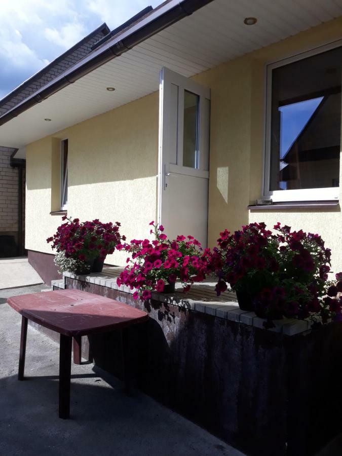 Alyvos Villa Ignalina Ngoại thất bức ảnh